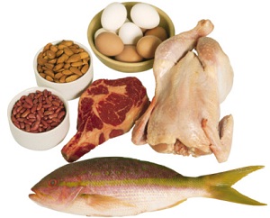 High Protein Foods